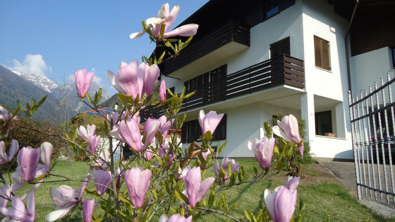 Casa Gregori Appartement Malè Buitenkant foto
